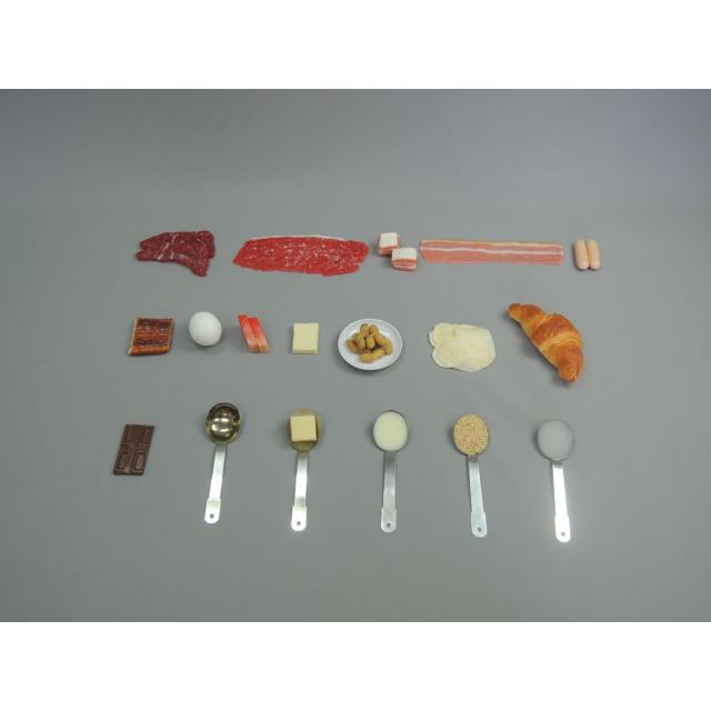 フードモデル 脂質（脂肪）の多い食品 37(ジシャクアリ)