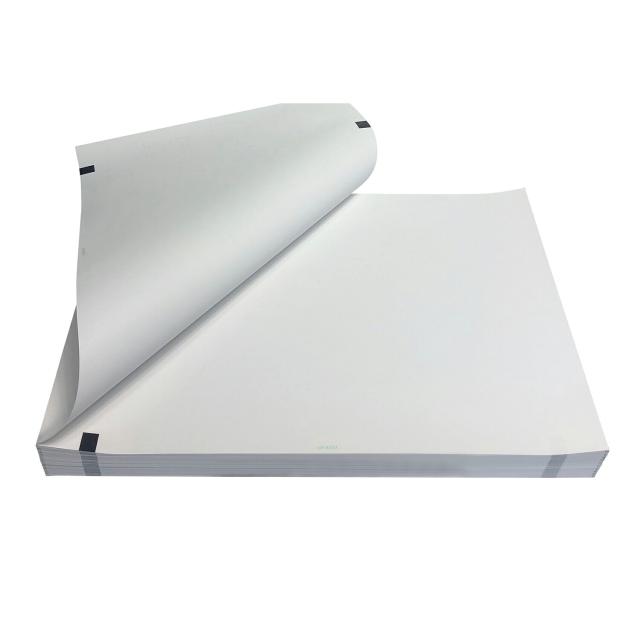 心電図用記録紙 CP-623U 5サツ 25-3868-04 ちばら