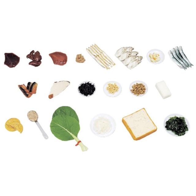 鉄分を多く含む食品モデル（20品） 70-A（ジシャクツキ） 1組 イワイサンプル 24-4512-00
