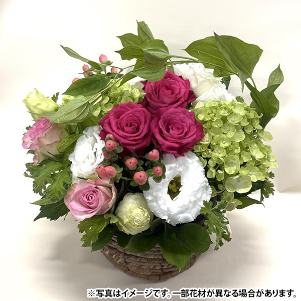 直送 日時指定不可 welzo お祝いアレンジ ＃3960 北海道・沖縄・離島配送不可