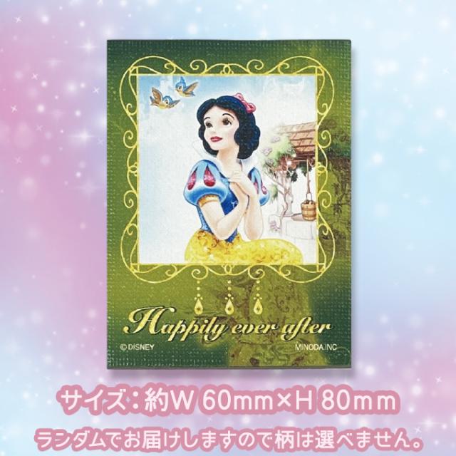 キャンバスマグネット ヒロインシリーズ ディズニー プリンセス ミニ