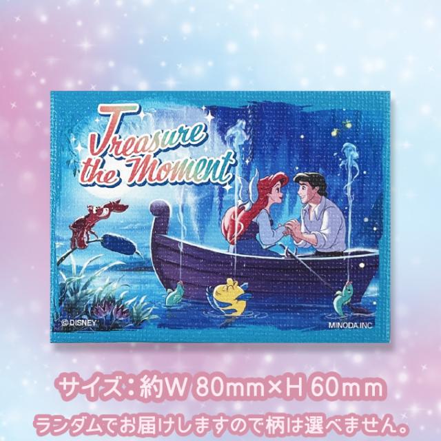 キャンバスマグネット ヒロインシリーズ ディズニー プリンセス ミニ