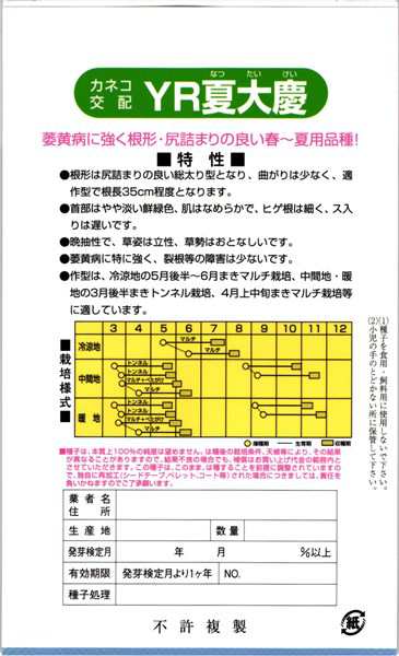 カネコ種苗 ダイコン 大根 Yr夏大慶 なつたいけい mlの通販はau Pay マーケット 種苗 園芸ショップ 種もり