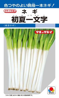 タキイ種苗 ネギ 葱 初夏一文字 ペレット 2l 5000粒の通販はau Pay マーケット 種苗 園芸ショップ 種もり