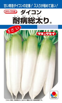 タキイ種苗 ダイコン 大根 耐病総太り Gfの通販はau Pay マーケット 種苗 園芸ショップ 種もり