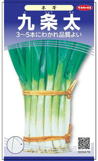 サカタのタネ ネギ 葱 九条太 小袋の通販はau Pay マーケット 種苗 園芸ショップ 種もり