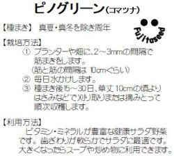 藤田種子 ピノグリーン コマツナ 小袋の通販はau Pay マーケット 種苗 園芸ショップ 種もり