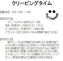 藤田種子 タイム クリーピングタイム 小袋の通販はau Pay マーケット 種苗 園芸ショップ 種もり