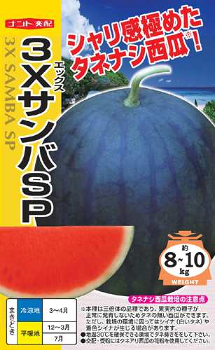 ナント種苗 スイカ ３ｘサンバｓｐ シードレスタイプ 100粒の通販はau Pay マーケット 種苗 園芸ショップ 種もり