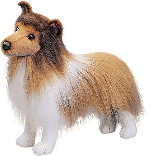 Douglas Dixie Sheltie