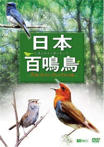 シンフォレストDVD 日本百鳴鳥 映像と鳴き声で愉しむ野鳥図鑑