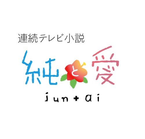 連続テレビ小説 純と愛 総集編 [DVD]