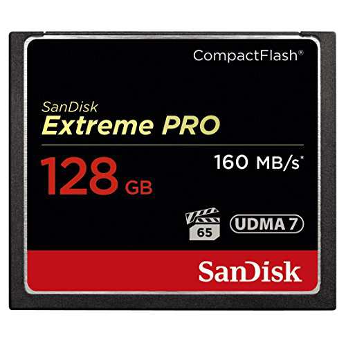 SanDisk Extreme PRO コンパクトフラッシュ 128GB 160MB s 1067倍速