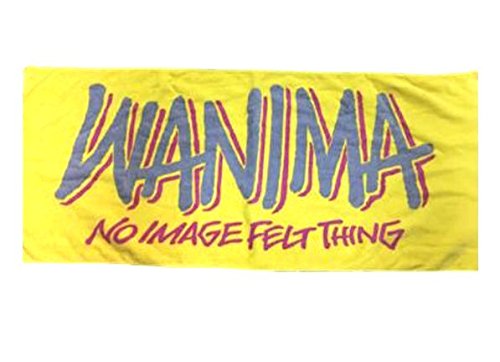 WANIMAパーカー、タオル WANIMAビーチタオルとパーカー WANIMA