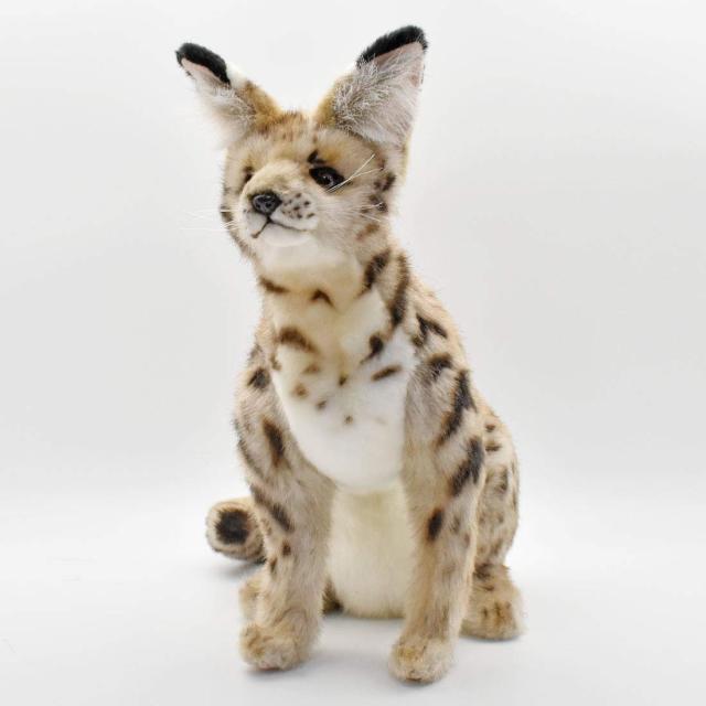 HANSA サーバルキャット 44　BH7373