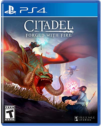 Citadel: Forged With Fire (輸入版:北米) - PS4の通販は