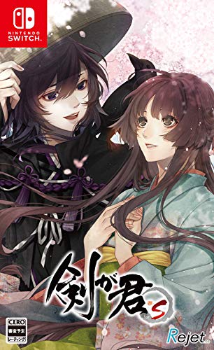 剣が君 for S - Switch