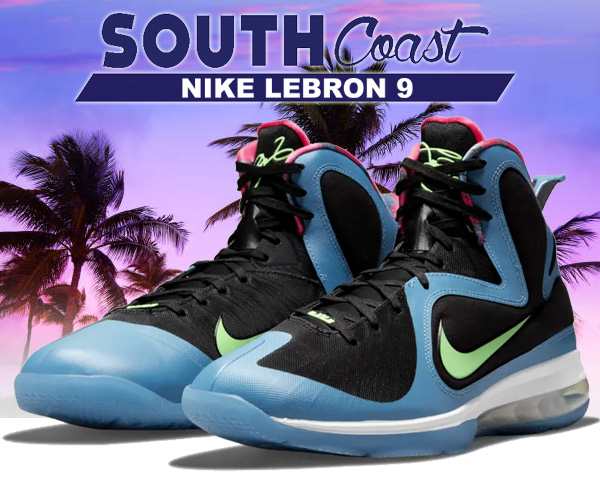 265cmナイキ レブロン 9 NIKE LEBRON IX SOUTH COAST