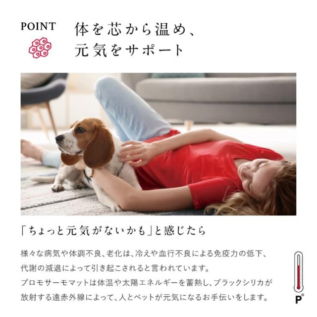 PROMO THERMO MAT プロモサーモマット for Pets Lサイズ PTM-BP01LG