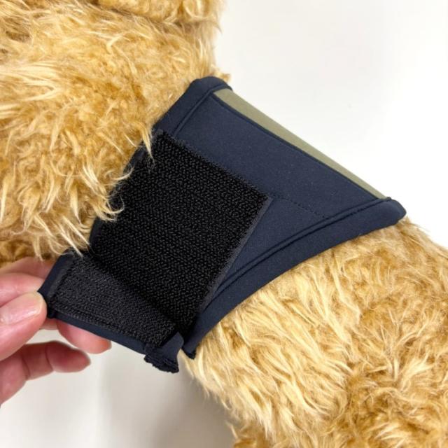 PROMO THERMO BACK's プロモサーモバックス 犬