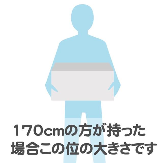 ポポンデッタ TOYOTA U55A形式コンテナ収納ボックス PFC-017_5