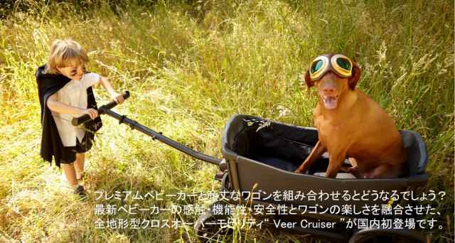 Veer ヴィア クルーザー アウトドア キャリーカートカモフラージュ 1 キャリーワゴン ペットカート キャンプ 子供 犬 折りたたみの通販はau Pay マーケット ナビッピドットコムオンラインショップ Au Pay マーケット店