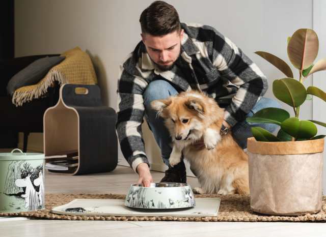 ムーミン ペット用シリコンマット M イエロー フードストッカー 犬 中型犬 大型犬 ペット用食器 水入れ エサ入れ シニア moomin ペット  ｜au PAY マーケット