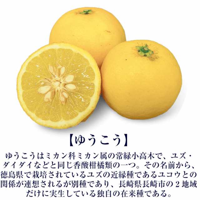 九州 長崎 土産 小浜食糧 外海ゆうこうクルス クルス ゆうこう 1種 10枚 長崎土産 外海 3 980円以上 送料無料 人気 お土産 修学旅行の通販はau Pay マーケット 長崎 土産 スイーツ さだずみ商店