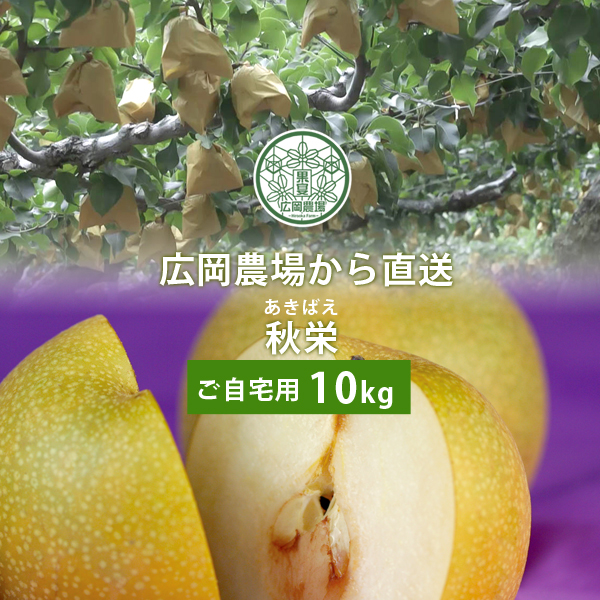 ひで ヒルティ HKD-TE-CX M8 5/16