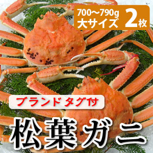 松葉がに700〜790g（大サイズ）×2枚 日本海産 未冷凍 お歳暮ギフト 送料無料（北海道・沖縄を除く） 37,570円