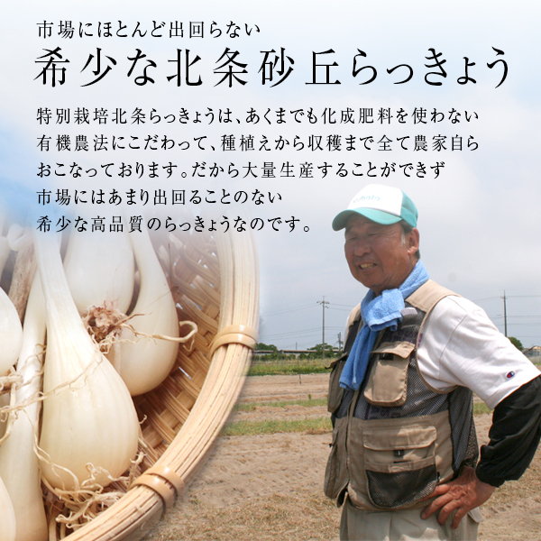 鳥取県産 特別栽培 田中さんの北条砂丘らっきょう5kg（根付き土付き 玉らっきょう 国産） 送料無料（北海道・沖縄を除く）_6