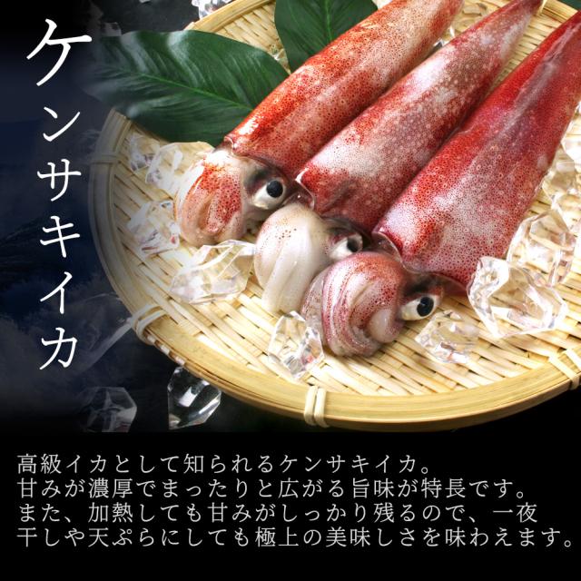 天ぷら 剣先イカ 剣先イカのやわらか焼き 剣先イカ専門店がこだわり抜いて作った木桶仕込み醤油と甘糀で漬けたイカ焼き