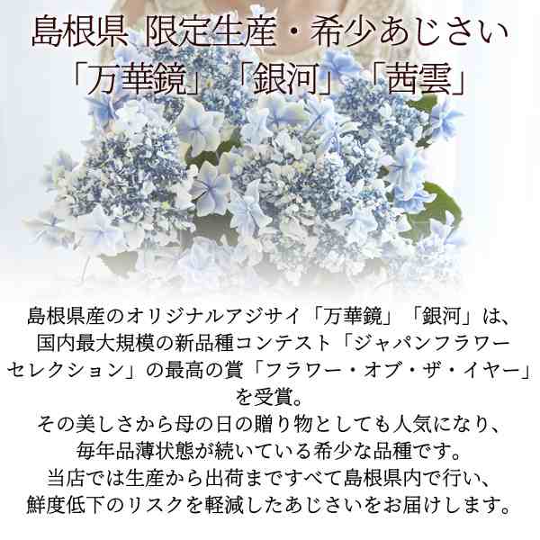 母の日 プレゼント ギフト アジサイ 花 あじさい鉢植え 選べる3品種 万華鏡 銀河 茜雲 送料無料 北海道 沖縄を除く M Oの通販はau Pay マーケット 風味絶佳 山陰