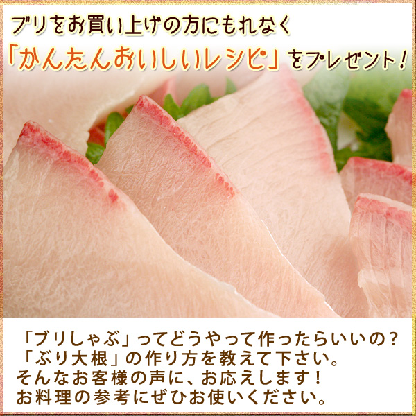 天然ブリ 寒鰤 寒ブリ 3kg前後 送料無料 北海道 沖縄を除く の通販はau Pay マーケット 風味絶佳 山陰