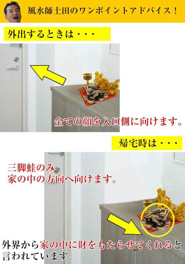 龍の置物 龍置物 龍神 龍神様 玄関 風水 龍 カエルの置物 麒麟置物 風水グッズ 風水置物 風水インテリア 開運 開運グッズ 開運置物 金龍 金運 金運アップグッズ 五本爪 ドラゴン 辰の置物 辰 ラッキーバッグ 福袋 2025 (まずはお部屋だけ 金運祈願福袋 5,555円セット)の通販は