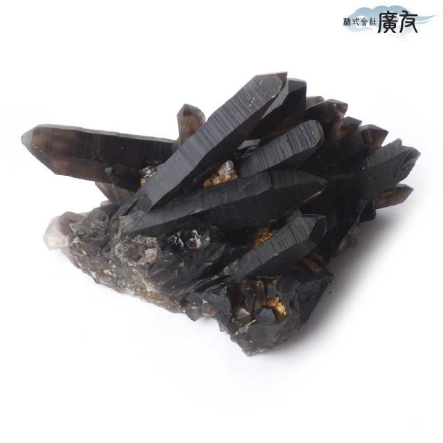 送料無料 天然石 パワーストーン モリオン 黒水晶 原石 682g 現物販売 魔除け 石 モリオン パワーストーン 黒水晶 水晶 浄化 スピリチュアル グランディング 霊能者 風水 2026