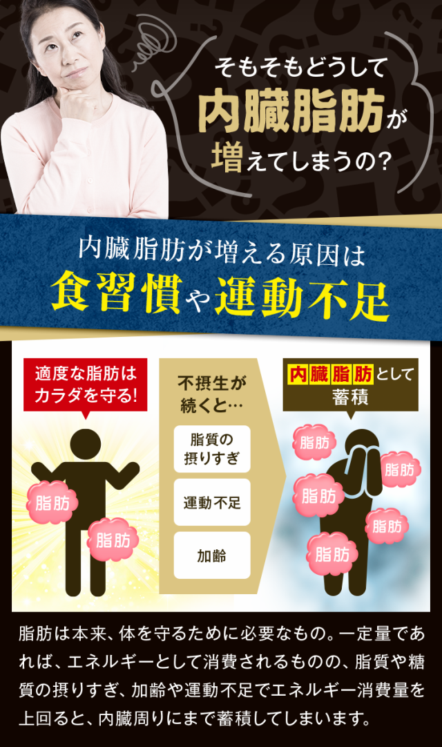 機能性表示食品 ダイエット たっぷりカテキン緑茶 2g×30包 10日分 メール便配送：送料無料 肥満気味で内臓脂肪が気になる方へ お茶  緑の通販はau PAY マーケット - 【お茶の荒畑園 au PAY マーケット店】