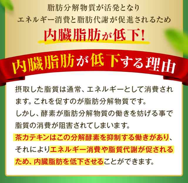 機能性表示食品 ダイエット たっぷりカテキン緑茶 2g×30包 10日分 メール便配送：送料無料 肥満気味で内臓脂肪が気になる方へ お茶  緑の通販はau PAY マーケット - 【お茶の荒畑園 au PAY マーケット店】