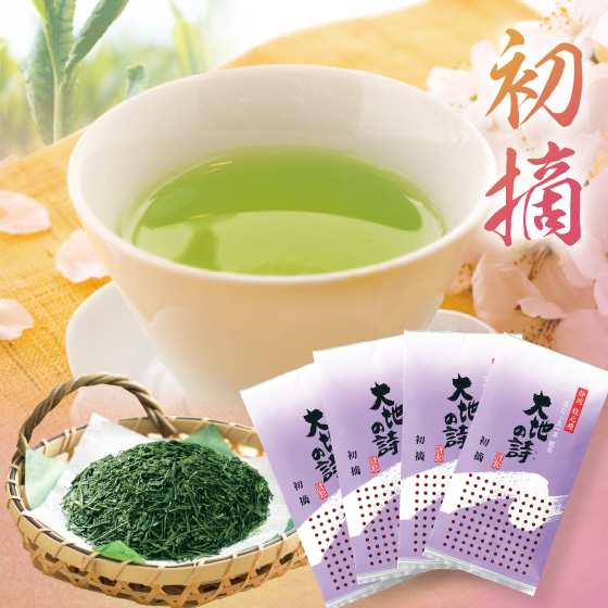 静岡深むし茶 初摘100g×4袋セット 新茶 プレゼント ギフト お中元 父の