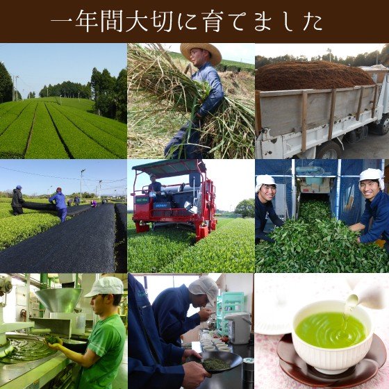 新茶予約 静岡新茶 21 5月日頃より順次出荷予定 母の日 ギフト 緑茶 お茶 静岡茶 荒茶 荒茶造り 0g 家庭用 深蒸し茶 静岡深むの通販はau Pay マーケット お茶の荒畑園aupayマーケット店