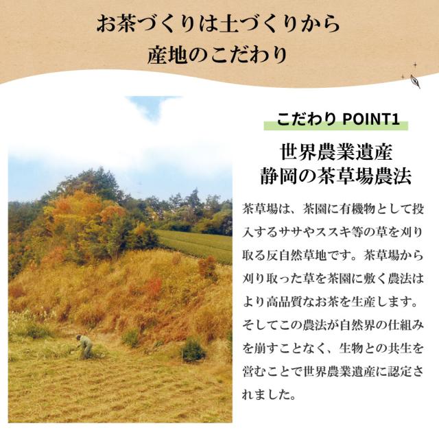 新茶 お茶 緑茶 静岡茶 特選荒茶・旬 100g×4袋 一番茶 荒茶 茶葉