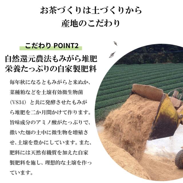 新茶 お茶 緑茶 静岡茶 特選荒茶・旬 100g×4袋 一番茶 荒茶 茶葉