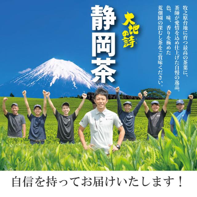 新茶 お茶 静岡茶 極上荒茶 300g（100g×3袋） 深蒸し茶 荒茶
