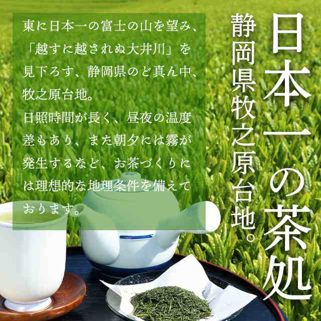 お茶　煎茶　緑茶　脂流茶　茶葉　ティーパック - 3