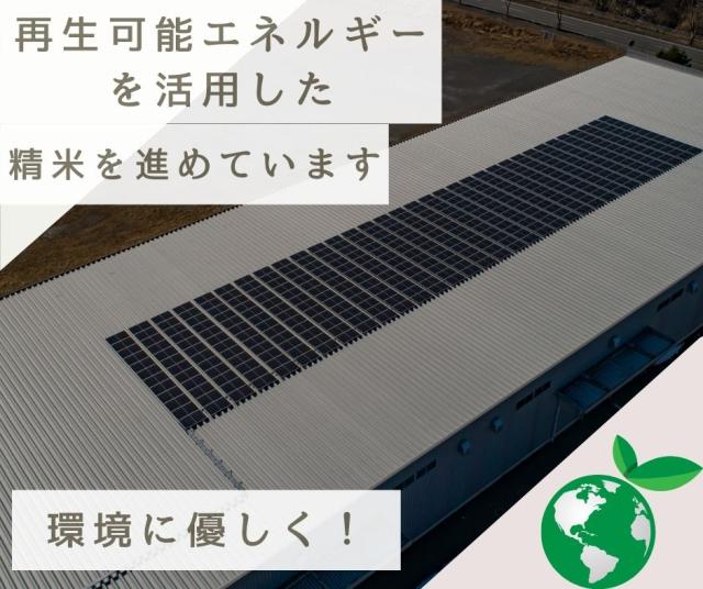 会津産ひとめぼれ玄米 30kg(30kg×1袋) 令和7年産 福島県産 送料無料