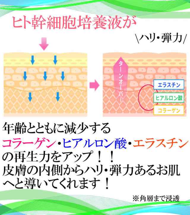 今だけ半額 シットリ潤い肌にヒト幹細胞培養液配合ビュースリクリーム 年齢肌 乾燥肌のスキンケア エイジングケア化粧品 送料無料の通販はau Pay マーケット 美肌商店