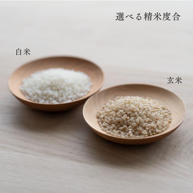 北海道産 ゆきひかり 10kg (5kg×2袋) 玄米 白米 令和7年産 真空パックに変更可 送料無料_3