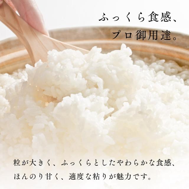 北海道 深川産 ふっくりんこ 10kg 5kg×2袋 白米 令和7年産 真空パック可 送料無料 沖縄・離島配送不可_1