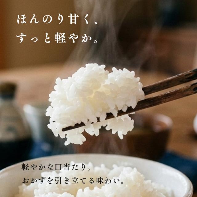 北海道 上川・空知産 ななつぼし 20kg 5kg×4袋 白米 令和7年産 特A 真空パック可 送料無料 沖縄・離島配送不可_1