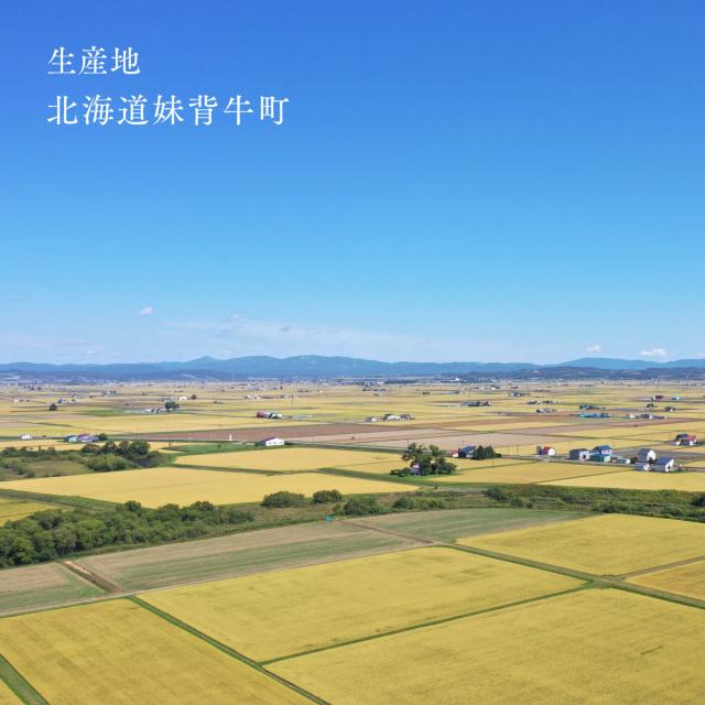 北海道産 おぼろづき 10kg 5kg×2袋 白米 令和7年産 真空パック可 送料無料 沖縄・離島配送不可_3